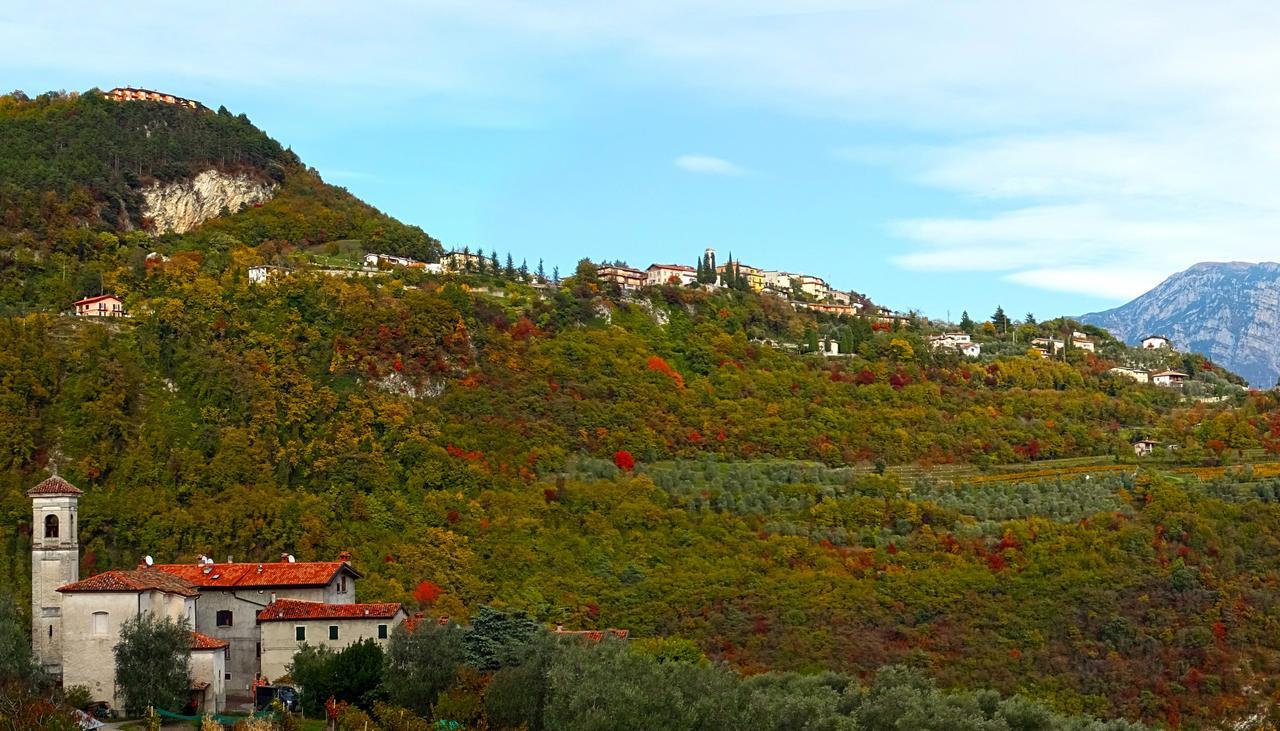 Villetta Ulivi Ca7 Sun Terrace By Gardadomusmea Tremosine 외부 사진